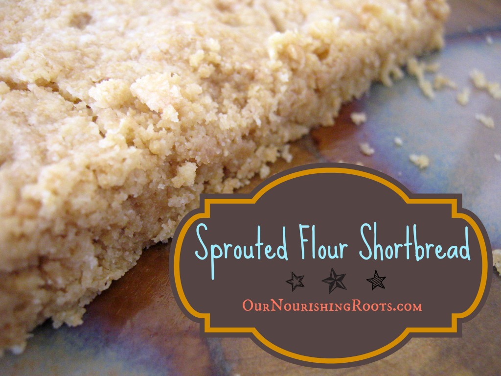 Sprouted Flour